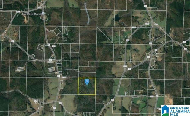 40 ACRES COUNTY ROAD 4700 # 40 ACRES, NEWELL, AL 36280, photo 2 of 9