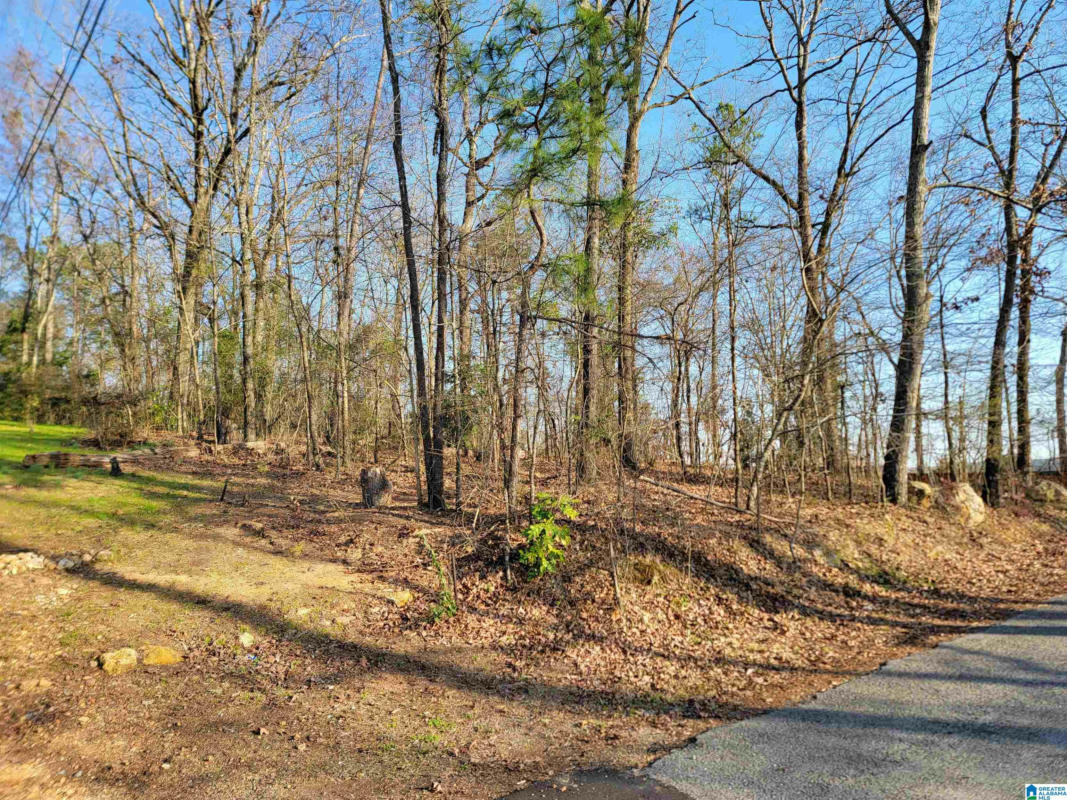 0 CLEARWATER POINT ROAD # 5, CROPWELL, AL 35054, photo 1 of 14
