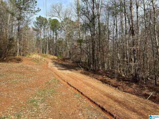 COUNTY ROAD 337, GOODWATER, AL 35072, photo 2 of 9