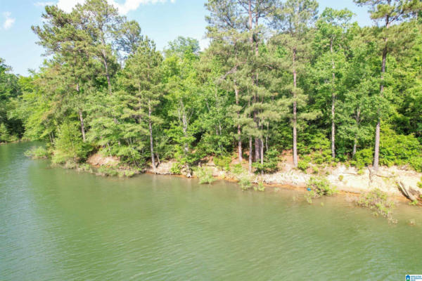 LOT 6 STILLWATER COVE # 6, DOUBLE SPRINGS, AL 35553, photo 2 of 19