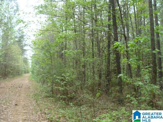 00 BLACKBERRY RIDGE ROAD # 50, VANCE, AL 35490, photo 1 of 4