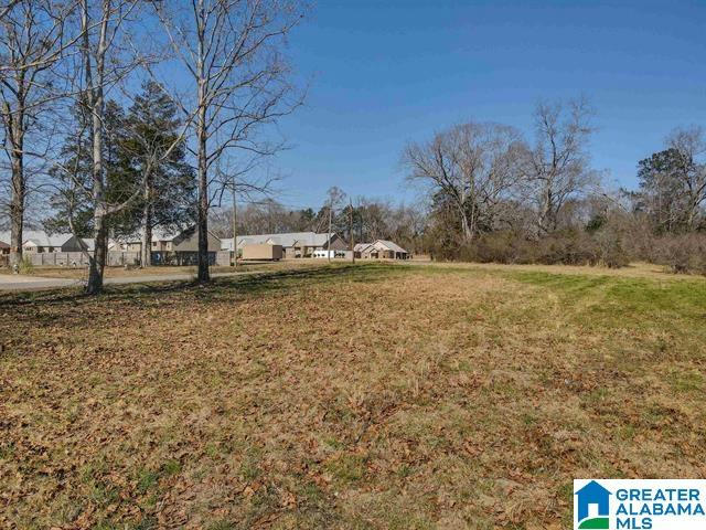 807 YELLOWLEAF ROAD # 1, CLANTON, AL 35045, photo 1 of 18