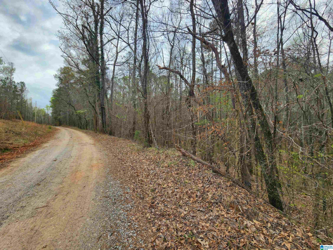 0000 COUNTY ROAD 141 # 1, GOODWATER, AL 35072, photo 1 of 6