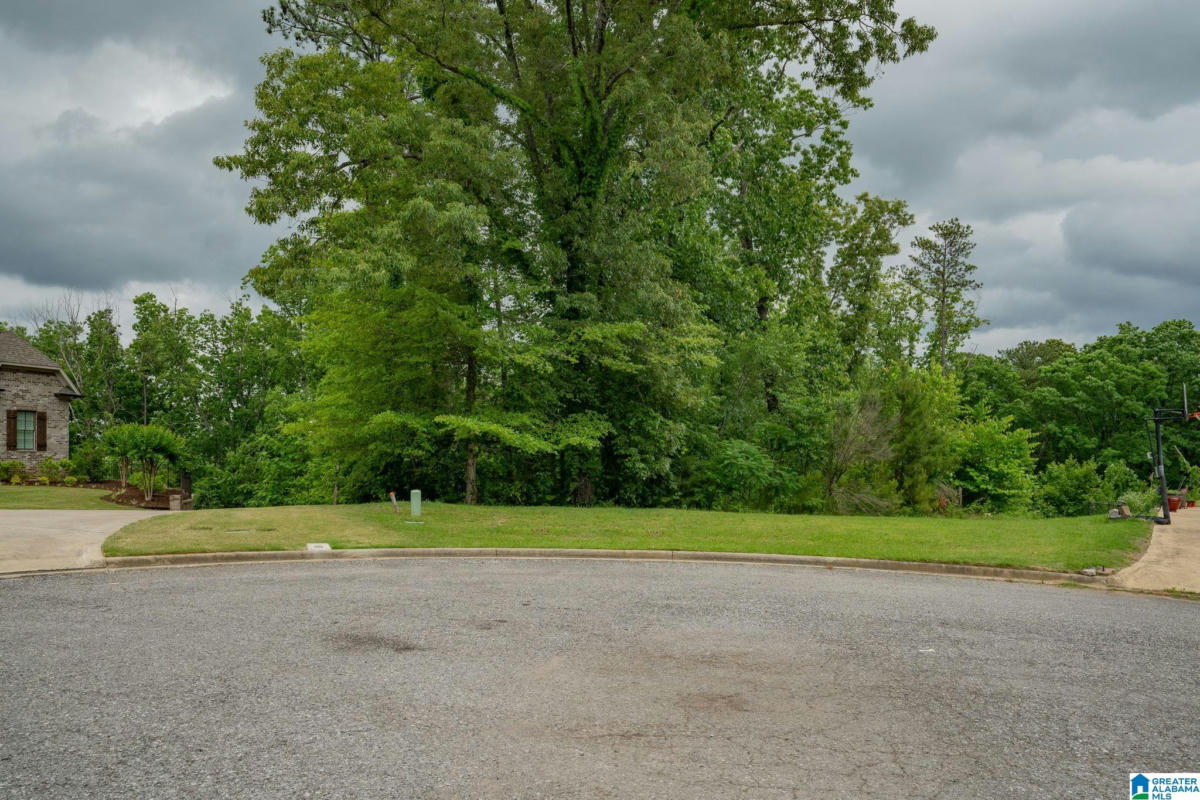 1604 CHATEAU CREST LN LOT 4, VESTAVIA HILLS, AL 35216, photo 1 of 13