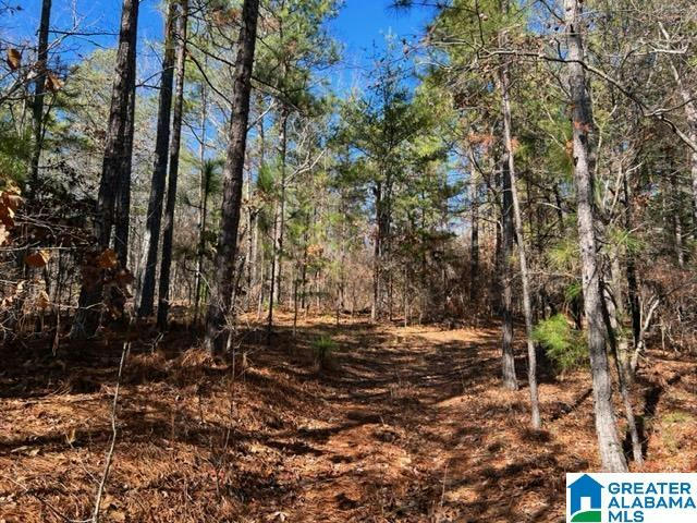 0 COLDWATER MTN # 0, OXFORD, AL 36203, photo 1 of 31