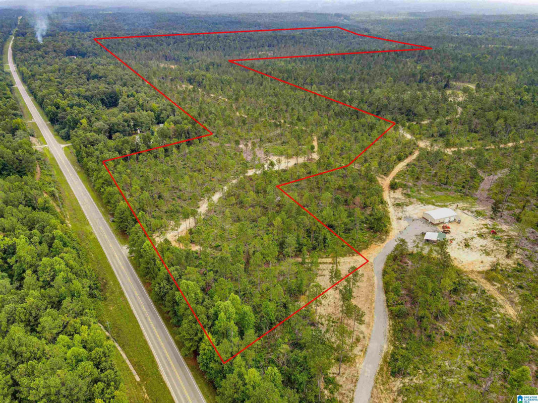 0 HIGHWAY 145 # 1, CLANTON, AL 35046, photo 1 of 14