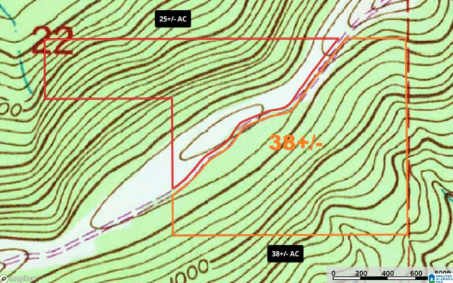 0 BEAVER MOUNTAIN ROAD # 38 ACRES -, ASHVILLE, AL 35953, photo 3 of 4