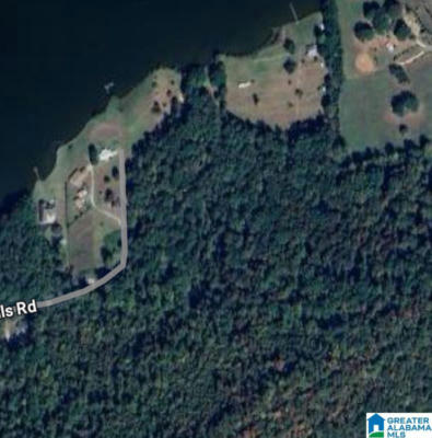 0 GREEN HILLS ROAD # 1, OHATCHEE, AL 36271 - Image 1