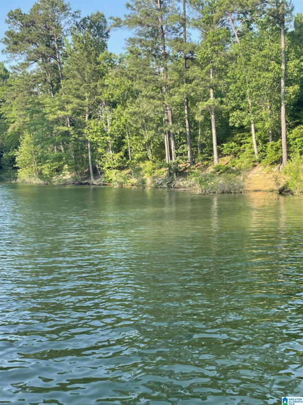 LOT 6 STILLWATER COVE # 6, DOUBLE SPRINGS, AL 35553, photo 1 of 19