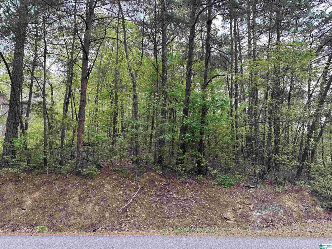 LOT 15 CARSON DRIVE # 15, LAKEVIEW, AL 35111, photo 1 of 2