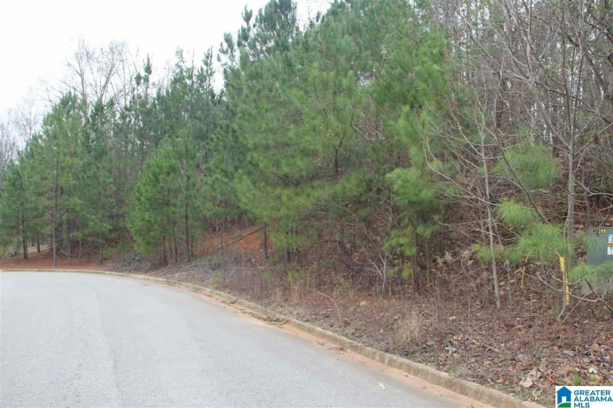 0 HICKORY VALLEY ROAD # 17, TRUSSVILLE, AL 35173, photo 1