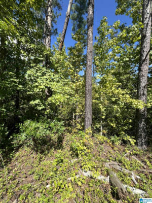 0 COUNTY ROAD 38 # LOT 2, JEMISON, AL 35085, photo 3 of 5