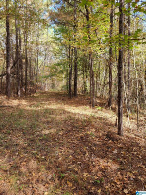 0 BULLOCKS FERRY ROAD # 0, ALPINE, AL 35160 - Image 1