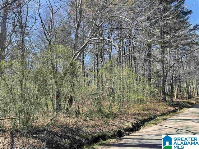 2775 CRAWFORDS COVE RD # NONE, SPRINGVILLE, AL 35146, photo 1