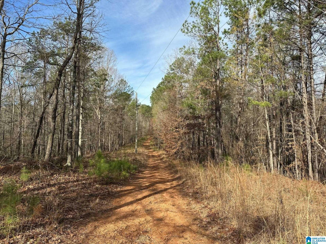COUNTY ROAD 337, GOODWATER, AL 35072, photo 1 of 9