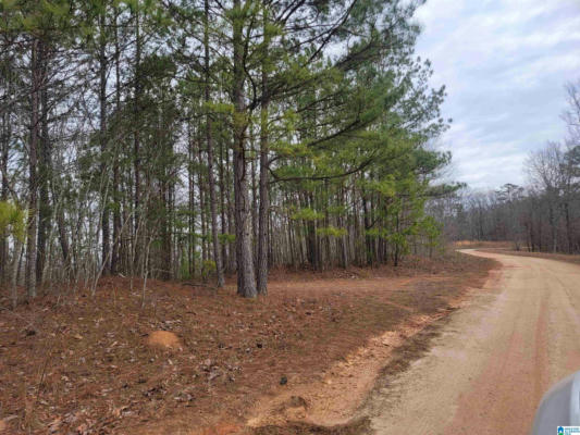 10 COUNTY ROAD 116, HEFLIN, AL 36264 - Image 1