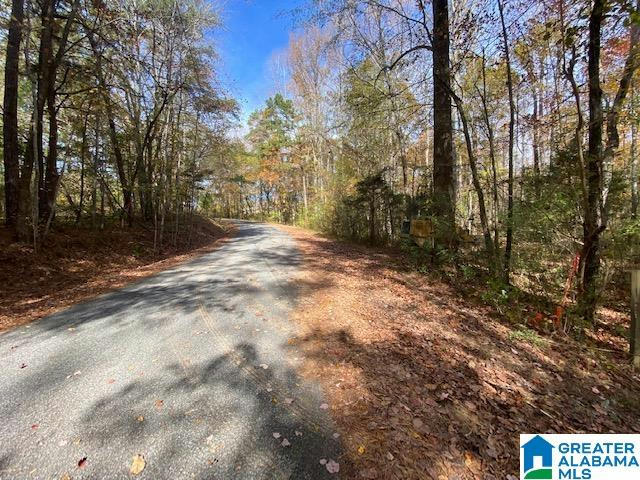 VALLEY VIEW DRIVE, ODENVILLE, AL 35953, photo 1 of 10