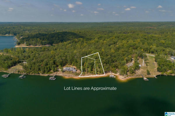 0 EDGEWATER BEND ROAD # 29, DOUBLE SPRINGS, AL 35553 - Image 1