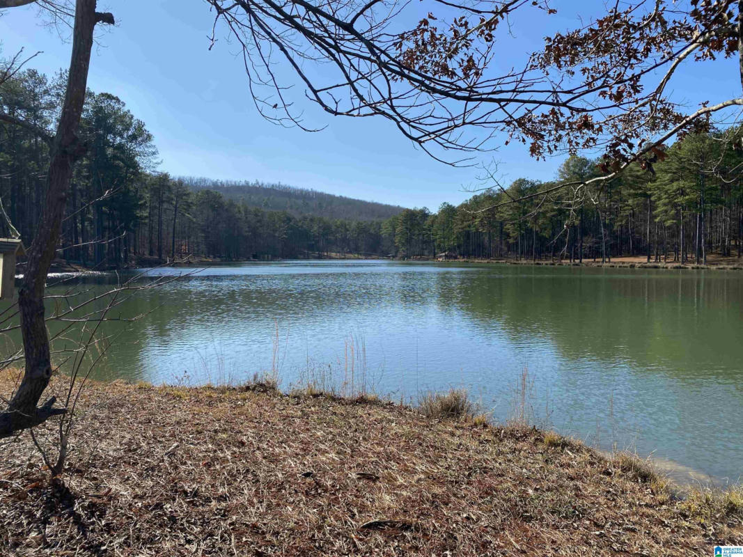 500 RIDGE LAKE RD # 4, COLUMBIANA, AL 35051, photo 1 of 5