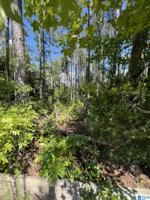 0 COUNTY ROAD 38 # LOT 2, JEMISON, AL 35085 - Image 1