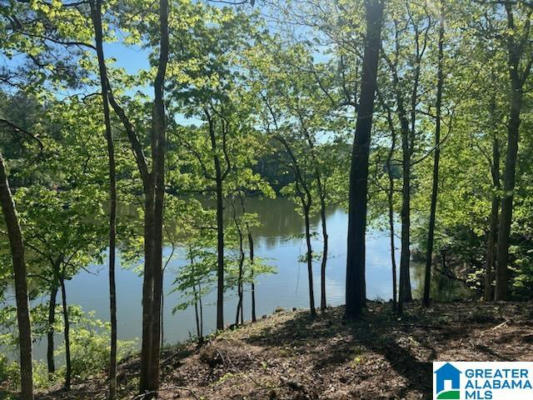 LOT 1 TRACT A WATERS WAY # LOT 1 TRACT A, WEDOWEE, AL 36278, photo 3 of 4