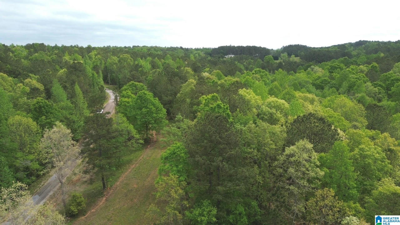 0 EAGLE HILL DRIVE # LOTS 13 AND 14, LINEVILLE, AL 36266, photo 1 of 5
