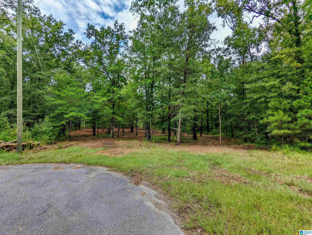 LAKE FRONT TRAIL, CLANTON, AL 35046, photo 1 of 12