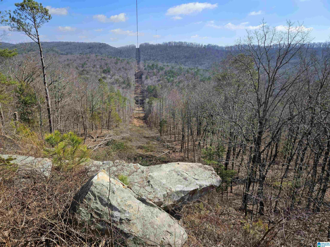 00 SAND VALLEY ROAD # 00, REMLAP, AL 35133, photo 1 of 20