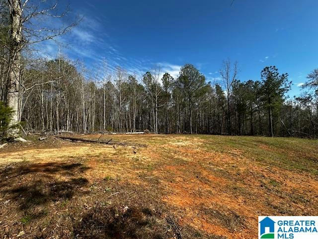 166 TWIN VIEW WAY # 1, WEST BLOCTON, AL 35184, photo 1 of 4