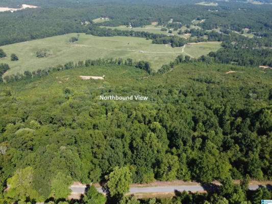 0 BEAVER MOUNTAIN ROAD # 0, ASHVILLE, AL 35953 - Image 1