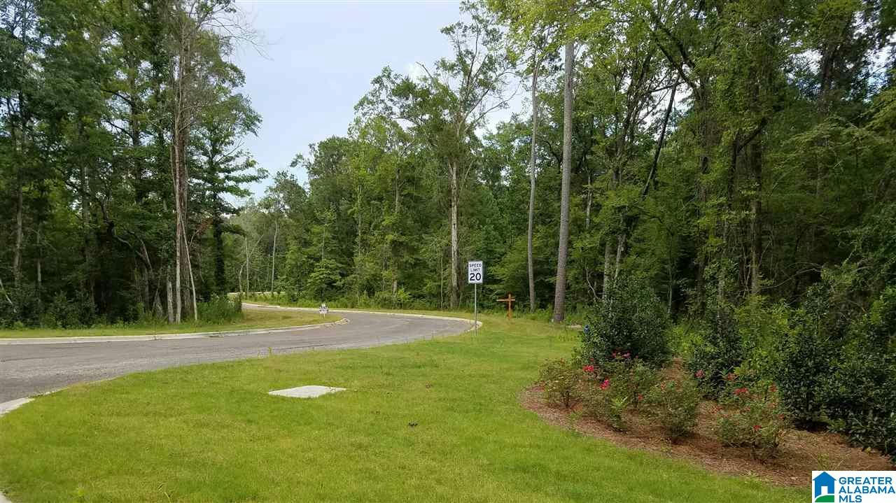 10 CHELSEA HIGHLANDS DR # 10, CHELSEA, AL 35051, photo 1 of 2