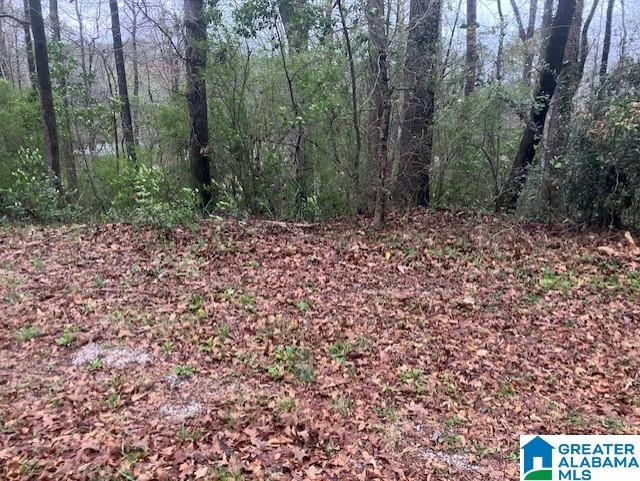 918 PINEHAVEN DR # 9, HUEYTOWN, AL 35023, photo 1 of 3