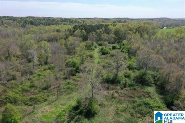 40 ACRES COUNTY ROAD 4700 # 40 ACRES, NEWELL, AL 36280, photo 3 of 9