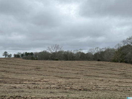 13610 COUNTY ROAD 37 # 1, CLANTON, AL 35045 - Image 1