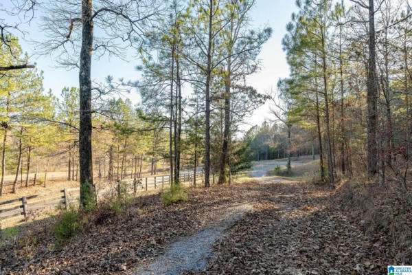 LOT 13/14 HERITAGE LAKE DRIVE # LOT 13/14, COLUMBIANA, AL 35051 - Image 1