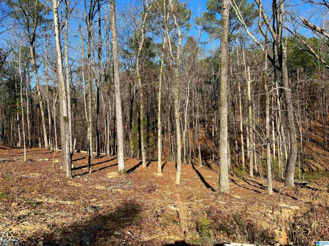 0 HONEY ACRES # ., STERRETT, AL 35147, photo 1 of 6