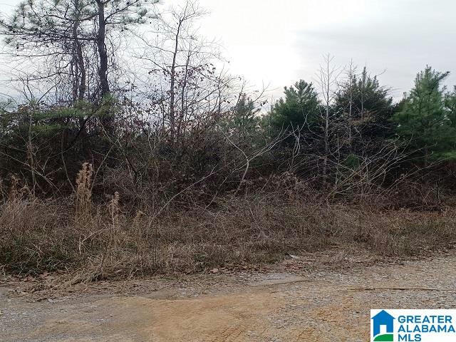 OLD STAGECOACH ROAD, WOODSTOCK, AL 35188, photo 1 of 3