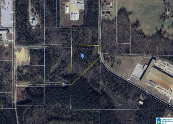 250 DUNCAN FARMS RD # 0, STEELE, AL 35987 - Image 1