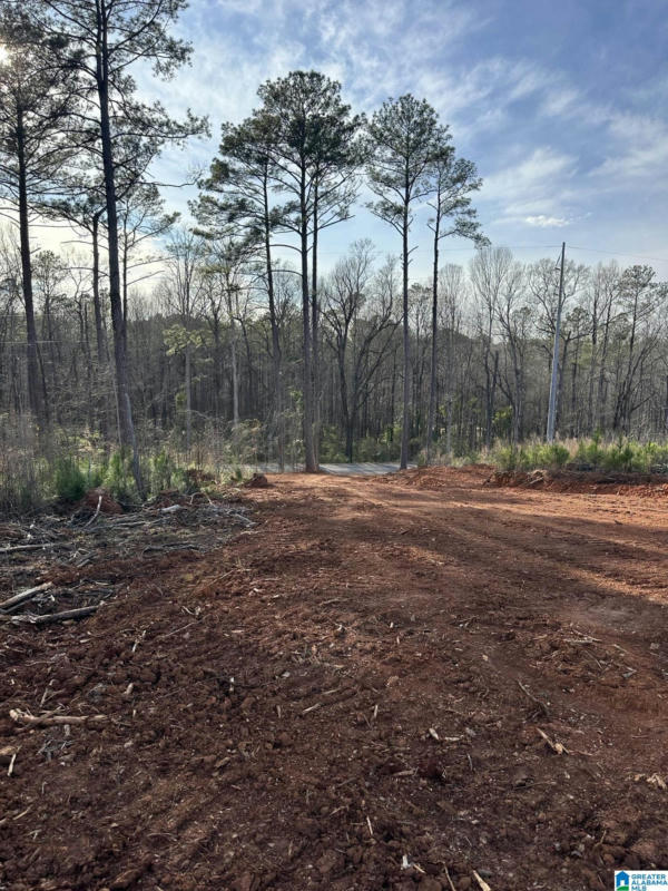 0 GRISSOM FERRY ROAD # 4, CROPWELL, AL 35054, photo 1 of 9