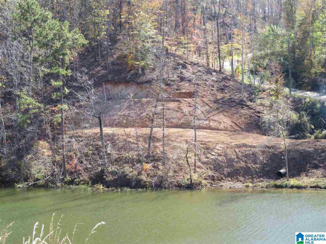 1 PRESERVE, ROCKFORD, AL 35136, photo 1 of 6