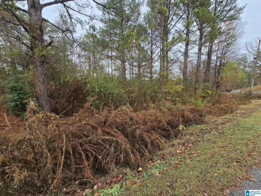 3150 WOOD VALLEY RD # 62, WARRIOR, AL 35180, photo 2 of 5