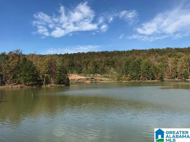 # 5 RIDGELINE DRIVE # 1, PELHAM, AL 35043, photo 1 of 7