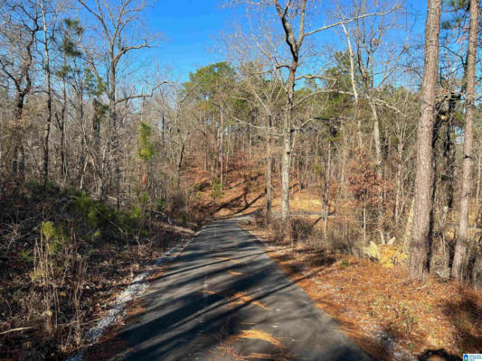 0 HONEY ACRES # ., STERRETT, AL 35147, photo 3 of 6