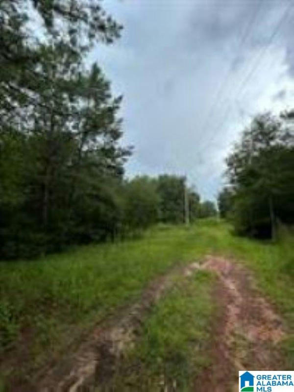 0 N MOUNT ZION ROAD # 0, HONORAVILLE, AL 36042, photo 1 of 2