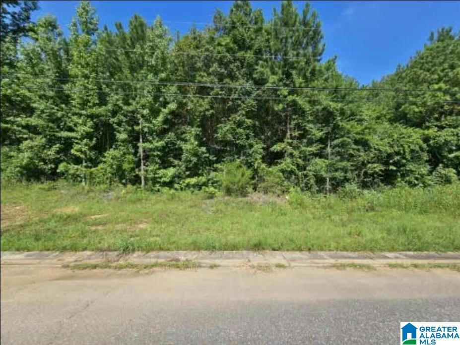 LOT 4 WOODHAVEN DRIVE # 4, PELL CITY, AL 35128, photo 1 of 4