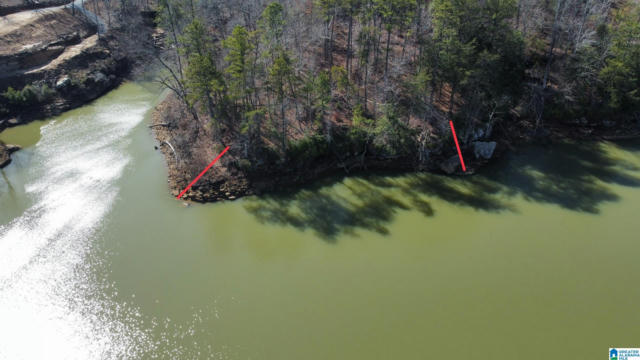 LOT 91 SIPSEY OVERLOOK DRIVE # 91, DOUBLE SPRINGS, AL 35553, photo 3 of 17