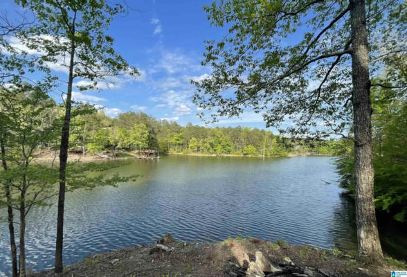 LOT 1 TRACT A WATERS WAY # LOT 1 TRACT A, WEDOWEE, AL 36278 - Image 1
