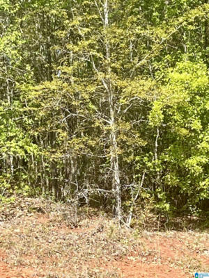 LOT 19 13TH COURT # LOT 19, LANETT, AL 36863, photo 2 of 3