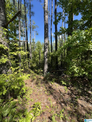 0 COUNTY ROAD 38 # LOT 2, JEMISON, AL 35085, photo 2 of 5